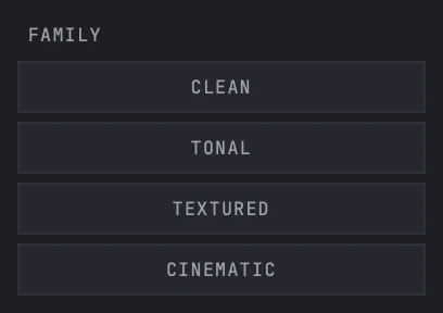 SURGE's FAMILY filter with four toggles: CLEAN, TONAL, TEXTURED and CINEMATIC, none of them ticked.